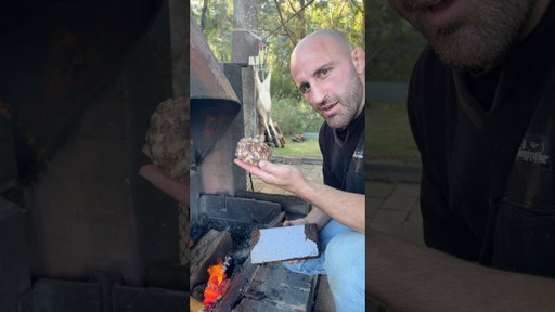 Wild deer burgers