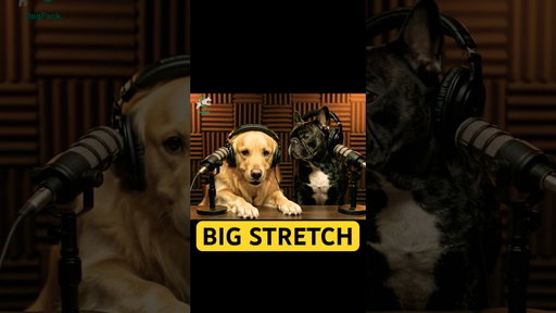 “Big Stretch” explained by Goldie & Frenchie