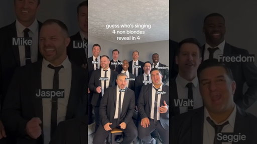 Did you guess who was singing "What's Going On" by @4nonblondesmusic?#acappella #4nonblondes