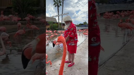 Santa goes to SeaWorld San Diego!