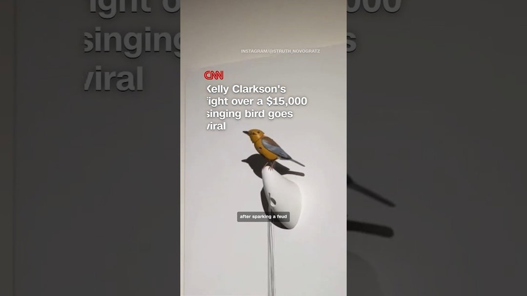 Kelly Clarkson's fight over a $15,000 singing bird goes viral
