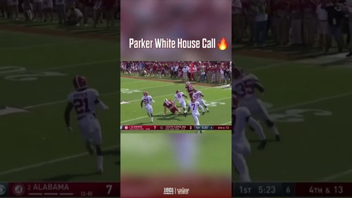 Who remembers when one of the coolest plays in gamecock history was ROBBED from us .