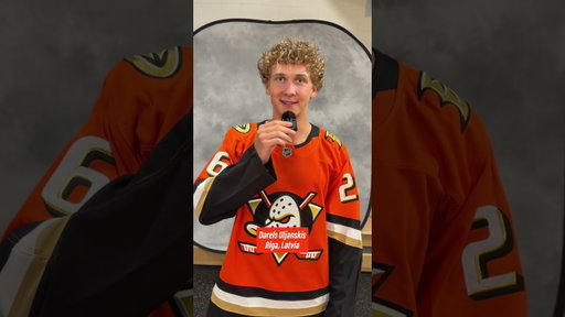 Pro Hockey Players Names but They Get More Difficult