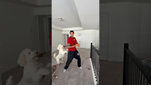 DUNKED ON BY MY DOG 🐶 🏀