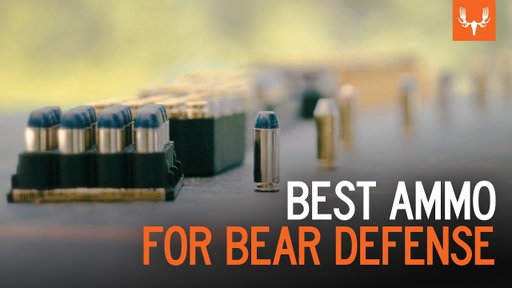 What's the best round for bear defense?