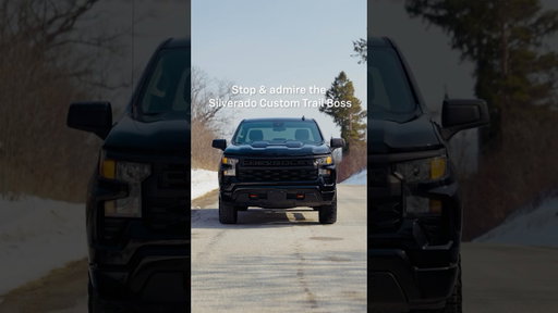 Ready for Anything | Silverado Custom Trail Boss