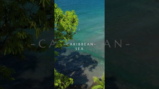 Discover Costa Rica’s Caribbean Coast | Cahuita & Manzanillo