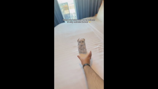 Gotta keep the family together 🤞 #WonderoftheSeas #miami #cruise #crewlife #towelanimal