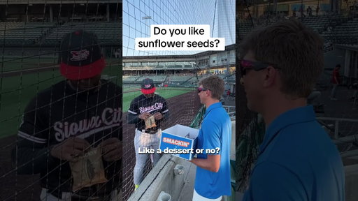 Do you like sunflower seeds?