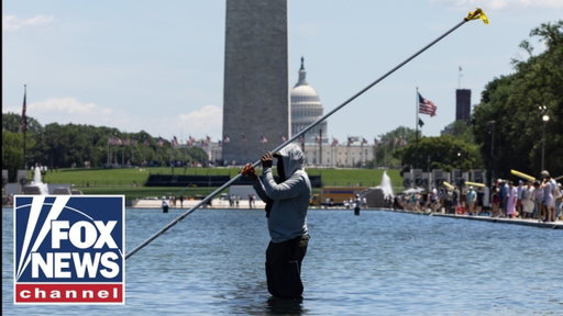 Former Olympian arrested for allegedly vandalizing Lincoln Memorial Reflecting Pool