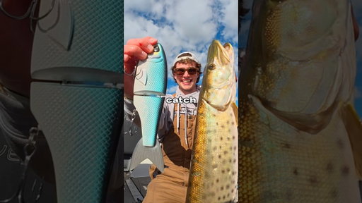 I Fished with MORE EXPENSIVE Lures Every Catch 🐟🎣