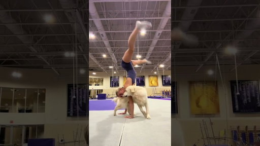 Yall know the saying...gymnast's best friend! #gymnast #lsu #pets