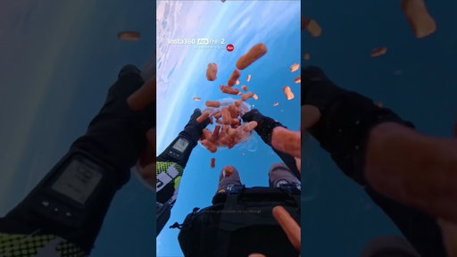 POV: You forgot about gravity 🌭 | Insta360 Ace Pro 2
