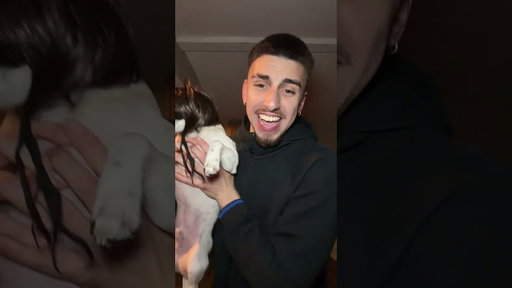 Les presento a cigarro🐕😂 #puppy #dog #parati #amor #dogsoftiktok