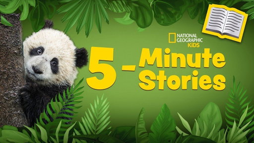 5 Minute Stories Book Read-Along 📚| A Panda Cub Grows Up 🐼 | @natgeokids