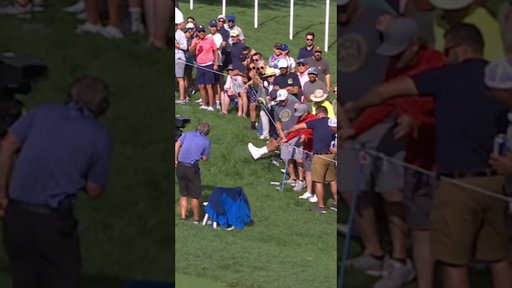 Golf fan tries to catch one 😅 #golf