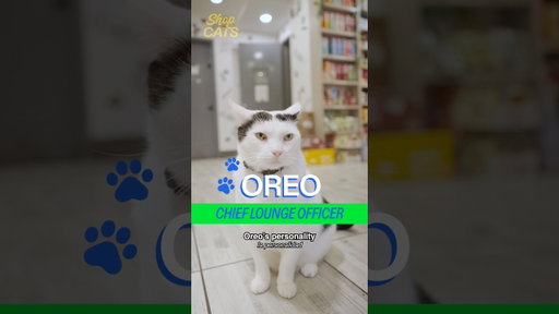 Meet Oreo in Chelsea ft. Shop regulars #KristenStewart x #AliaShawkat
