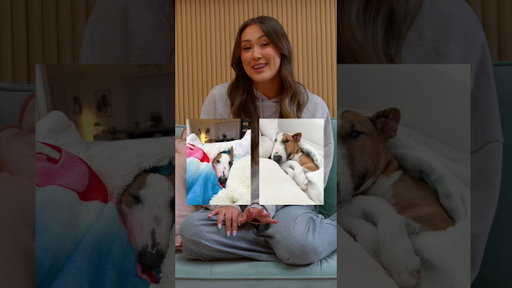 We Filmed a DIY TV SERIES ✨