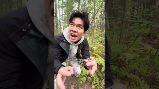 Like bro u do NOT speak for the trees 😭😭 #savetheforest #nature #corvus #comedyskits