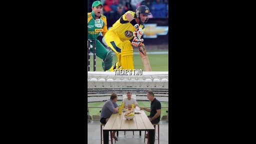 When Mike Hussey lost it with Dale Steyn. 😂