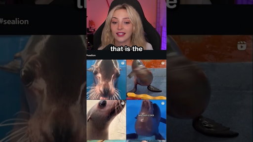 Chat ACCUSATIONS Must STOP 💀