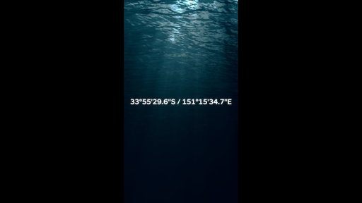 Together, we gave this underwater forest a name.
