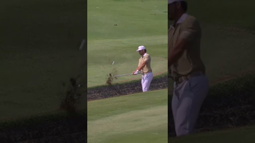 Can confirm Josele got out of there and saved par. 😅