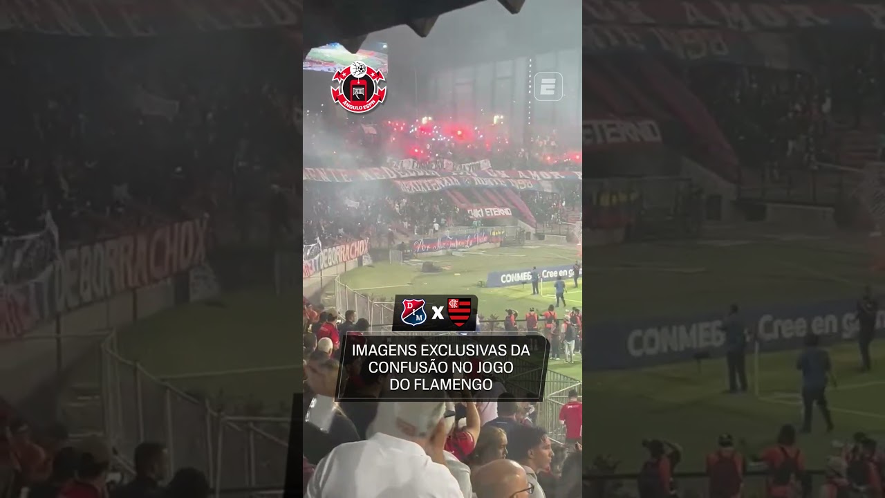 CONFUSÃO NO JOGO DO FLAMENGO! 😱 #shorts