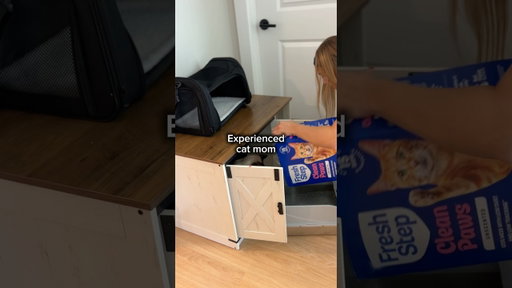 New vs Experienced Cat Mom