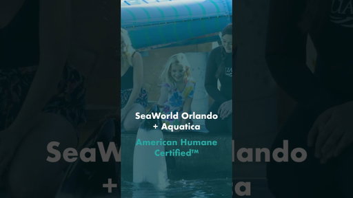SeaWorld Orlando and Aquatica Orlando Renewed American Humane Society Certifications