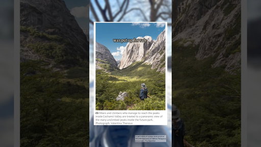 He rallied 1000s of people to buy & protect the “spiritual center of the universe” in Patagonia 😮
