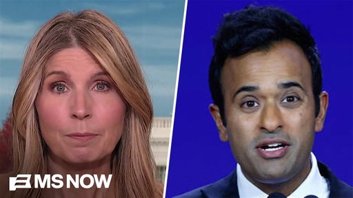'DESPICABLE': Nicolle SHREDS Vivek Ramaswamy and Republicans for DOUBLING DOWN on disgusting ad
