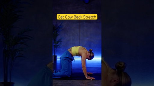 Cat Cow Pose Explanation #backstretch #stretching #mobility