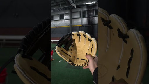 Which glove sounds the best? #baseball