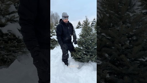 Carhartt: A couple tips and tricks, straight from the Christmas tree farm.