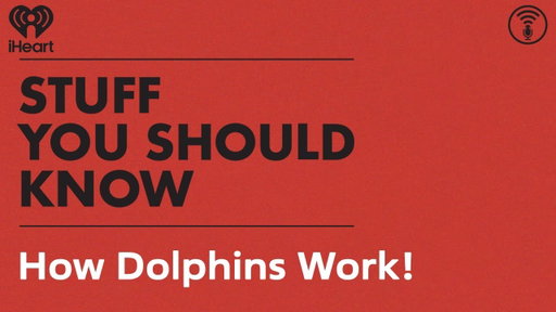 How Dolphins Work! | STUFF YOU SHOULD KNOW