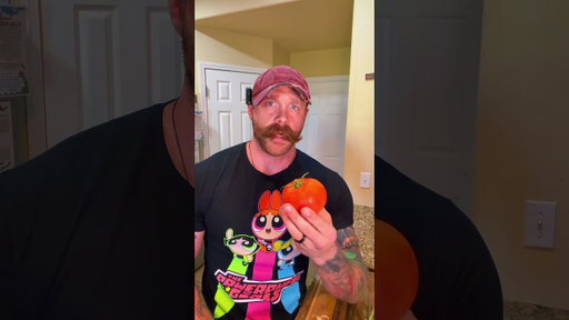 Borger
