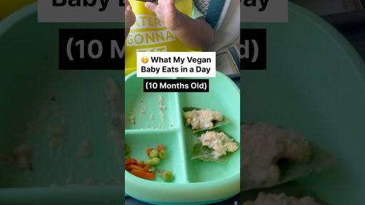 What My Vegan Baby Eats in a Day (10 Months Old) 🌱 Episode 16