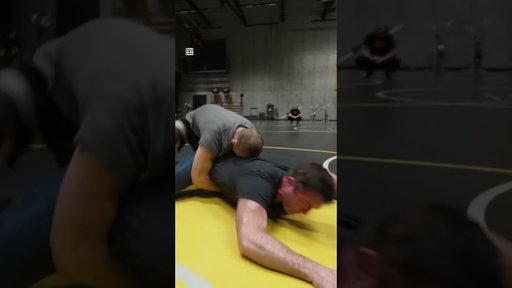 Nobody Under 200 Pounds Can Turn Chael Sonnen #ufc