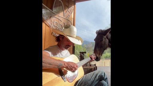 Sunday from the Cantina. “Blue Skies” with a little help from Honey.