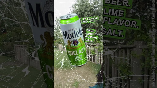 Modelo Chelada: Game Crashers