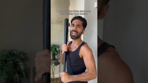Dogs vs cats when someone breaks into your house. #shorts #shorts #skit #funny