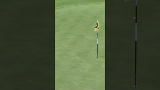 Hit the flag from 228 yards out! 🤯 #golf #golfgear #trickshots
