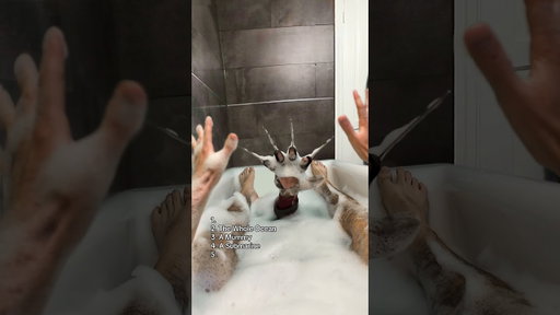 Have an everything bath with me 👀