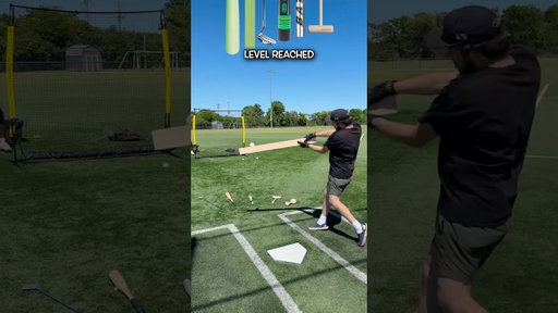 Every Hit SHRINKS The Bat