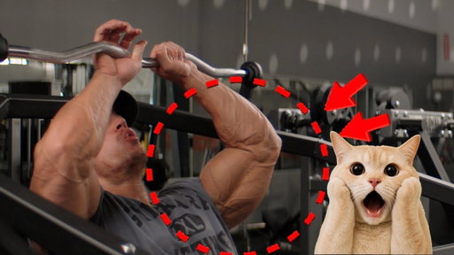 The Bulk Rebirth Day 7 - Monstrous Arm Pump 234.8 lbs