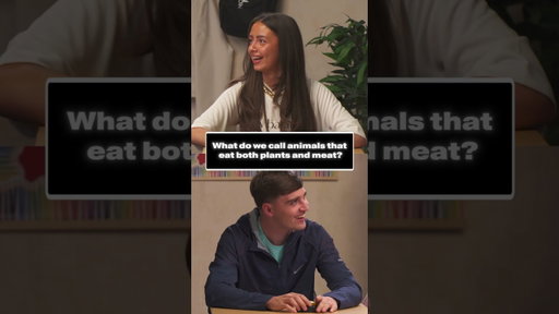 Adult vs Kid: Who's smarter?
