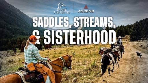 Backcountry Fly Fishing on Horseback in Montana | Ascend