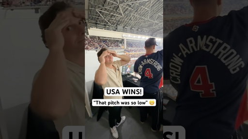 I immediately knew the umpires blew it