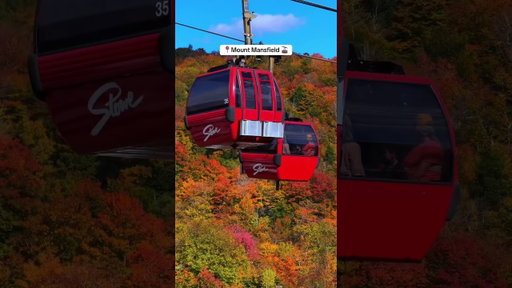 The BEST itinerary for autumn in Vermont! 🍁🍂😍 #fallseason #autumn #vermont #newengland